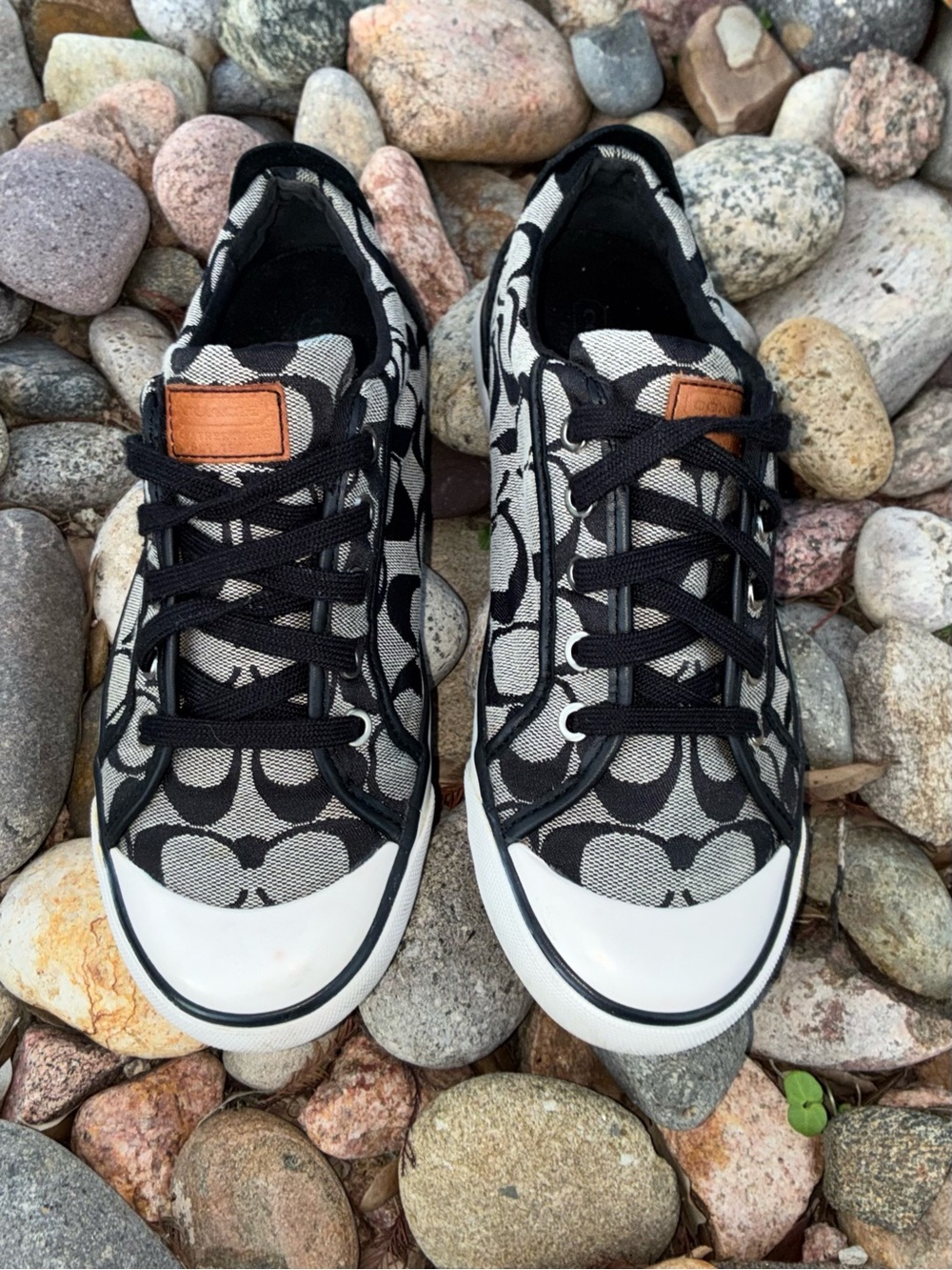 COACH BARRET Shoes "12cm Sig/ Nap"